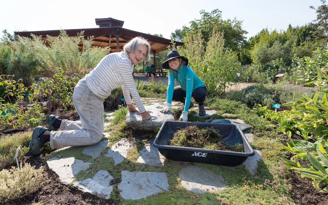 Two volunteers kneeling and working together in a community garden